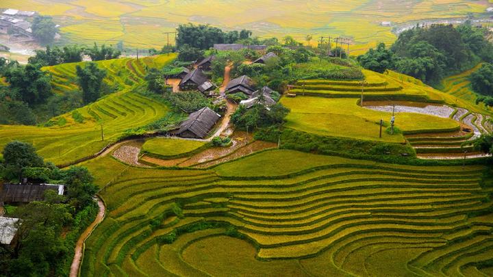 Phụ huynh “bắt trend”: Chọn - Cảm hứng video marketing từ Hotspot Matrix_Part time entrepreneurship
